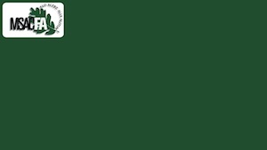 plain green background with logo in top corner